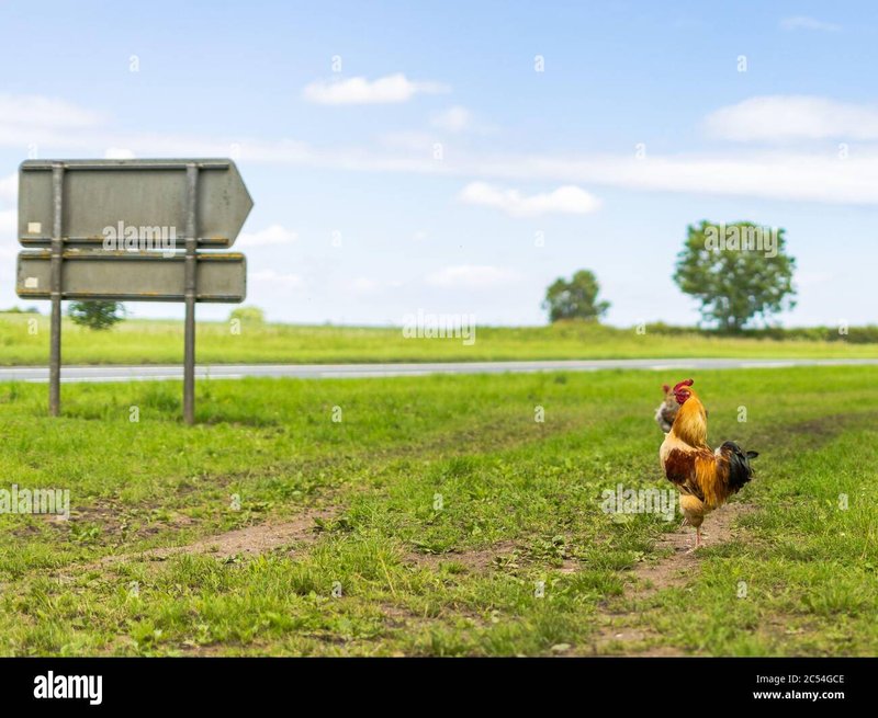Ontdek de Sensatie van Chicken Road Casino in Nederland Nu Online, chicken road demo